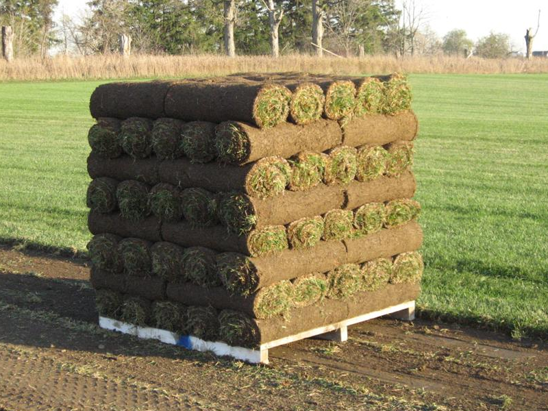 Fairgreen Sod Farms North | 137 Line 9 S, Hawkestone, ON L0L 1T0, Canada | Phone: (705) 487-3000