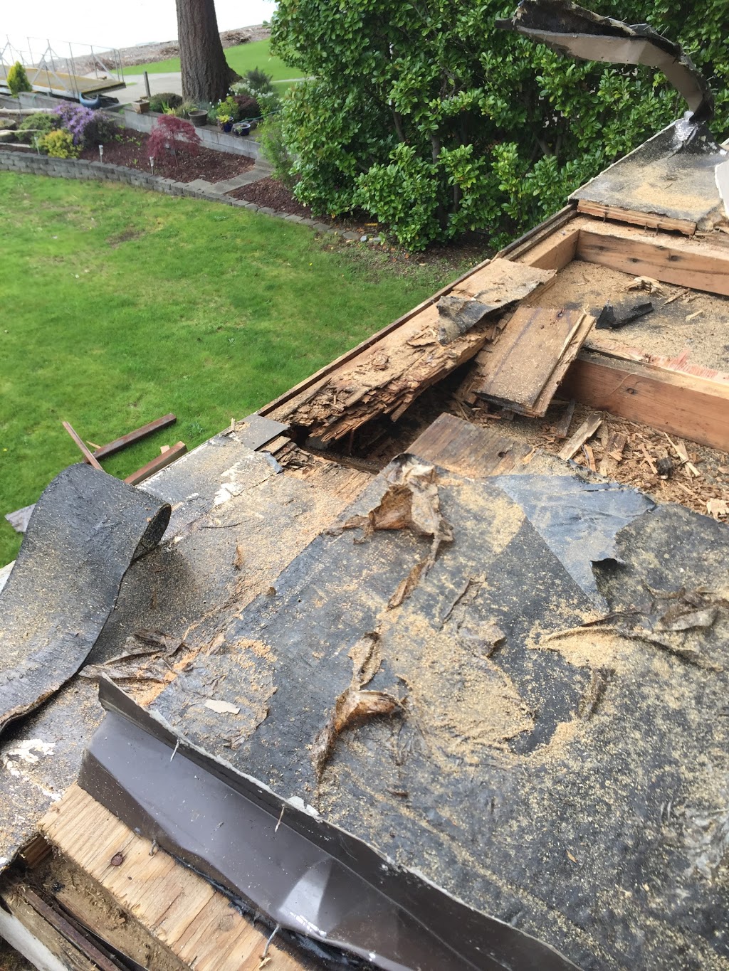 All Services Property Maintenance | 5240 Graveline Rd, Bellingham, WA 98226, USA | Phone: (360) 216-7350