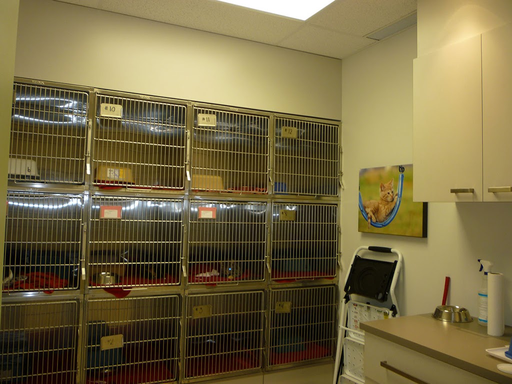 Clinique Vétérinaire Bellefeuille | 1082 Boulevard Roland-Godard, Saint-Jérôme, QC J7Y 4C6, Canada | Phone: (450) 565-0751