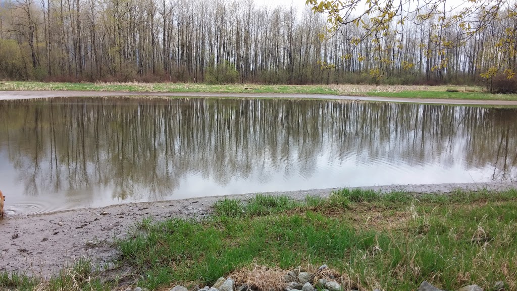 Rising Up Contracting | 8586 Shook Rd, Fraser Valley G, BC V2V 7L9, Canada | Phone: (604) 287-2627