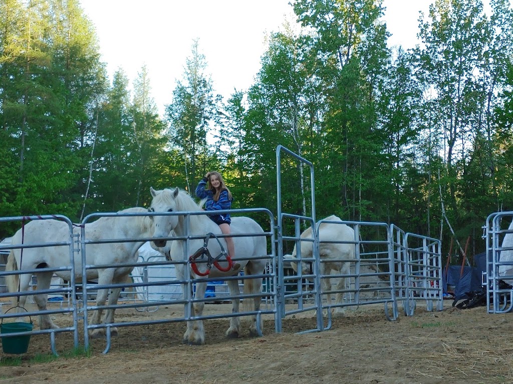 Le Ptit Vallon | 1299 Chem. du Village, Morin-Heights, QC J0R 1H0, Canada | Phone: (450) 602-2383