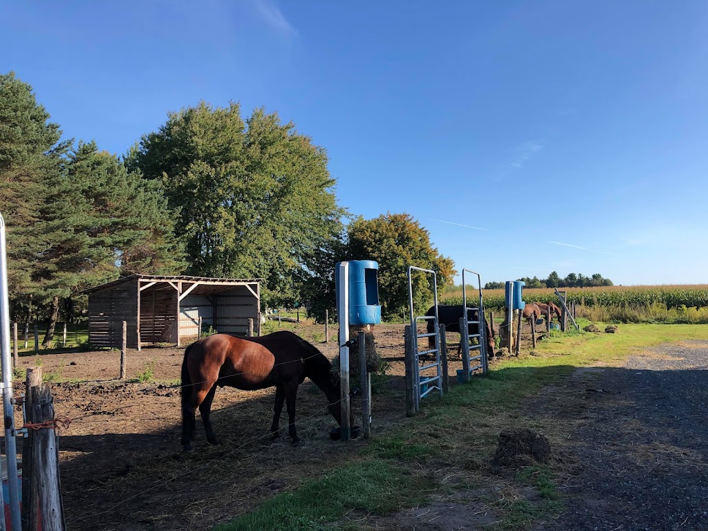 Equestrian Center Mac | 470 Rang 3 de Simpson, Saint-Cyrille-de-Wendover, QC J1Z 1Y4, Canada | Phone: (819) 471-6291