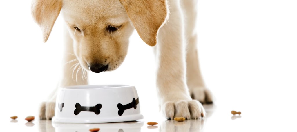 All Pets Food & Supplies | 110-7088 W Saanich Rd, Brentwood Bay, BC V8M 1P9, Canada | Phone: (778) 351-4738