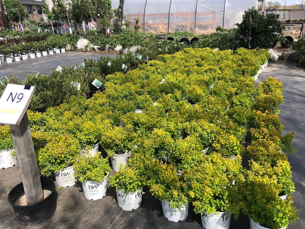 Classic Landscapes Tree Farm | 23016, AB-14, Sherwood Park, AB T8B 1E4, Canada | Phone: (780) 410-9911