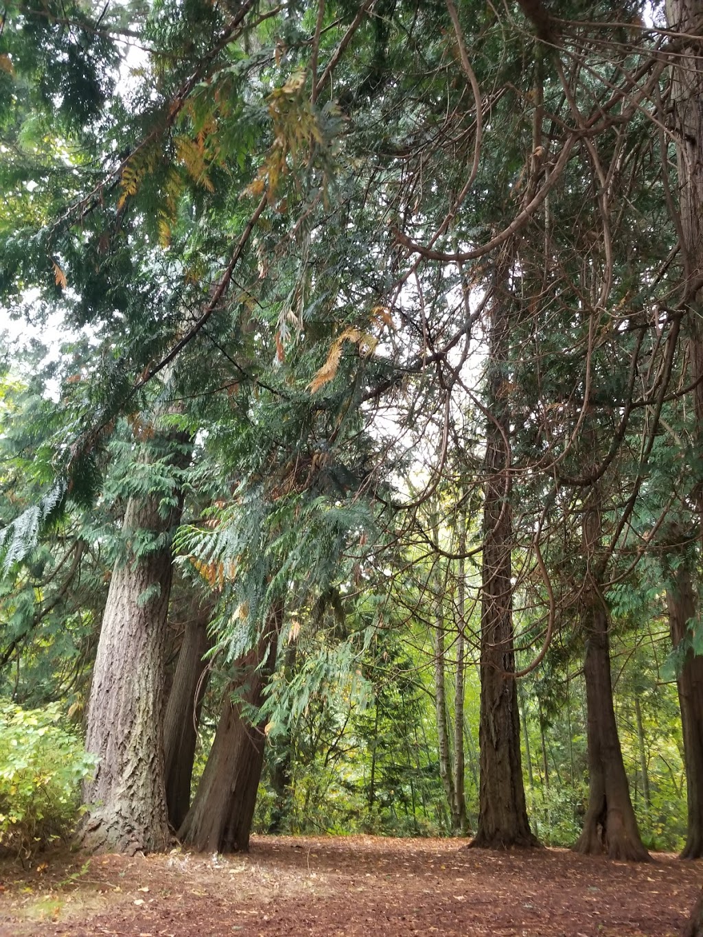 Mt.Douglas parking lot | Cordova Bay Rd, Victoria, BC V8N 4Y9, Canada