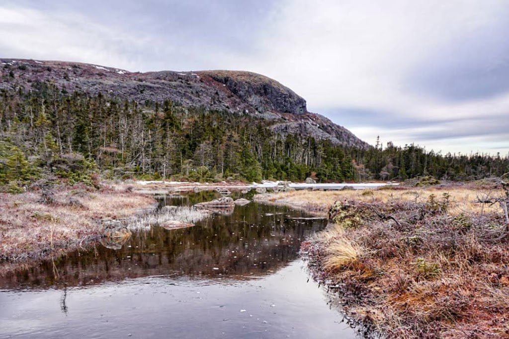 Butter Pot Provincial Park | Trans-Canada Hwy, Holyrood, NL A0A 2R0, Canada | Phone: (709) 685-1853