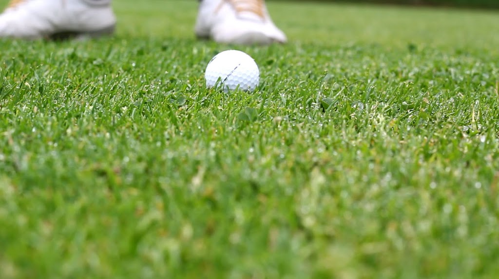 Club de Golf Des Pins | 1140 route Philomène-Thibodeau, Saint-Alban, QC G0A 3B0, Canada | Phone: (800) 223-5210