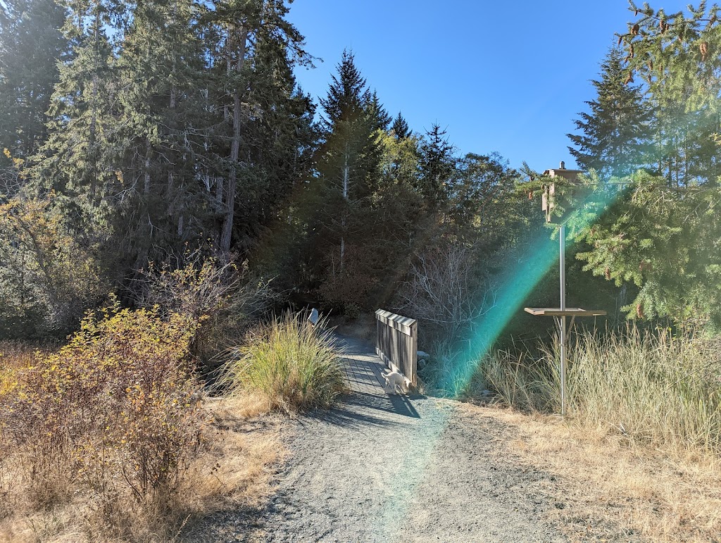 Driftwood Park | Clarkson Ave, Black Creek, BC V9J 1J9, Canada | Phone: (250) 334-6000