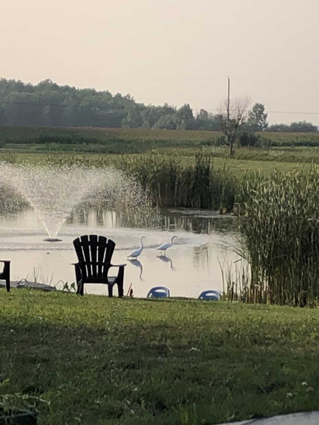 Havre de Paix - Centre & Lieu de ressourcement | 83 Rang de lÉglise N, Saint-Marcel-de-Richelieu, QC J0H 1T0, Canada | Phone: (450) 888-2458