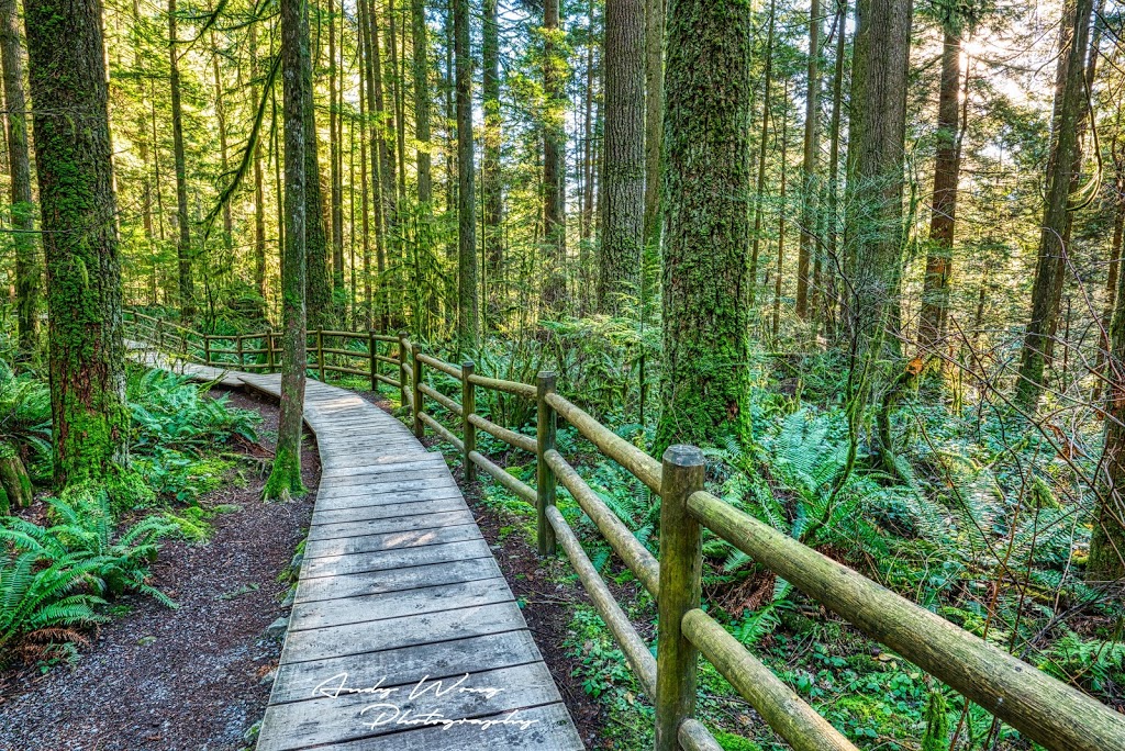 Lynn Canyon Park | 3690 Park Rd, North Vancouver, BC V7J 3K2, Canada | Phone: (604) 990-3755