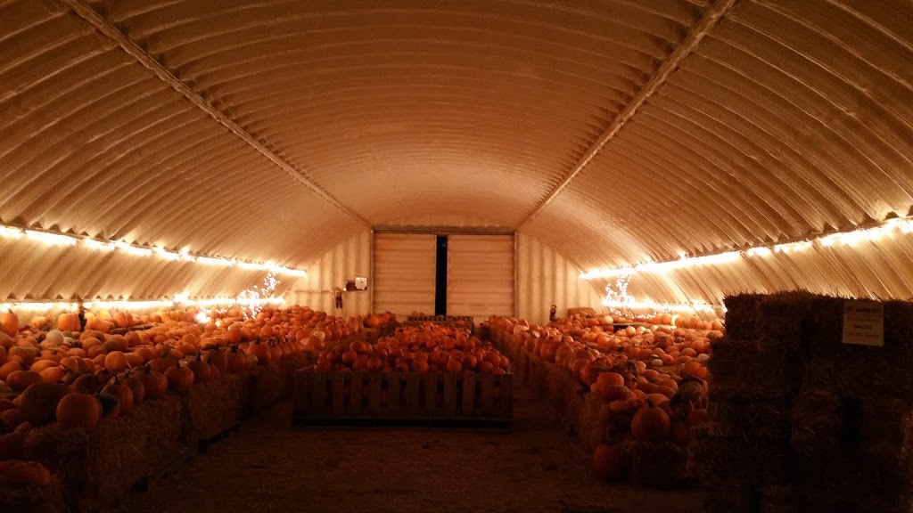 A Maze In Corn | 1351 MB-200, Saint Adolphe, MB R5A 1A2, Canada | Phone: (204) 883-2048