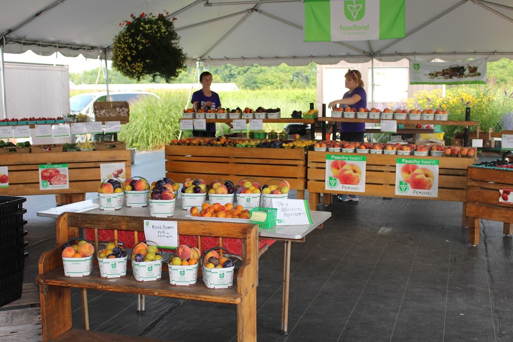 Whitty Farms | 1776 Fourth Ave, St. Catharines, ON L2R 6P9, Canada | Phone: (905) 984-8444