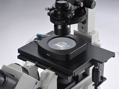 BIOIMAGER Inc. | 123 Pentland Crescent, Maple, ON L6A 1T4, Canada | Phone: (855) 246-4624