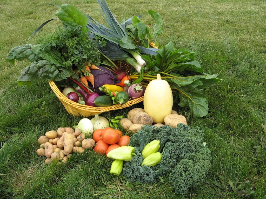 Noble Gardens | 232041 Township Road 104, Nobleford, AB T0L 1S0, Canada | Phone: (403) 393-2059