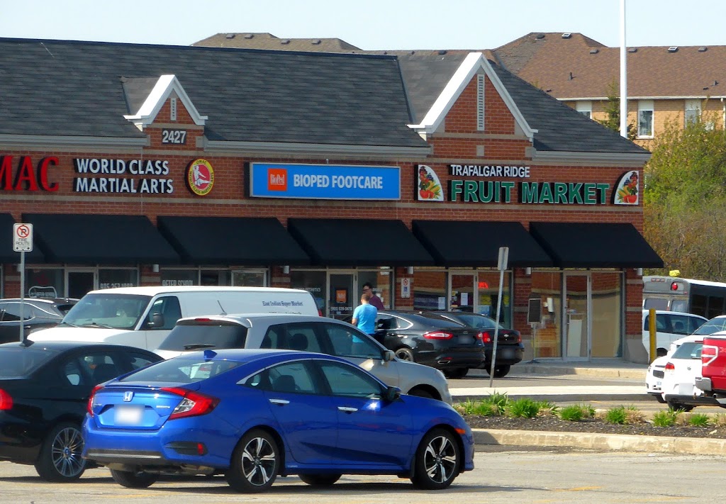 BioPed Footcare & Orthotics | 2427 Trafalgar Rd a6, Oakville, ON L6H 6K7, Canada | Phone: (905) 339-3678