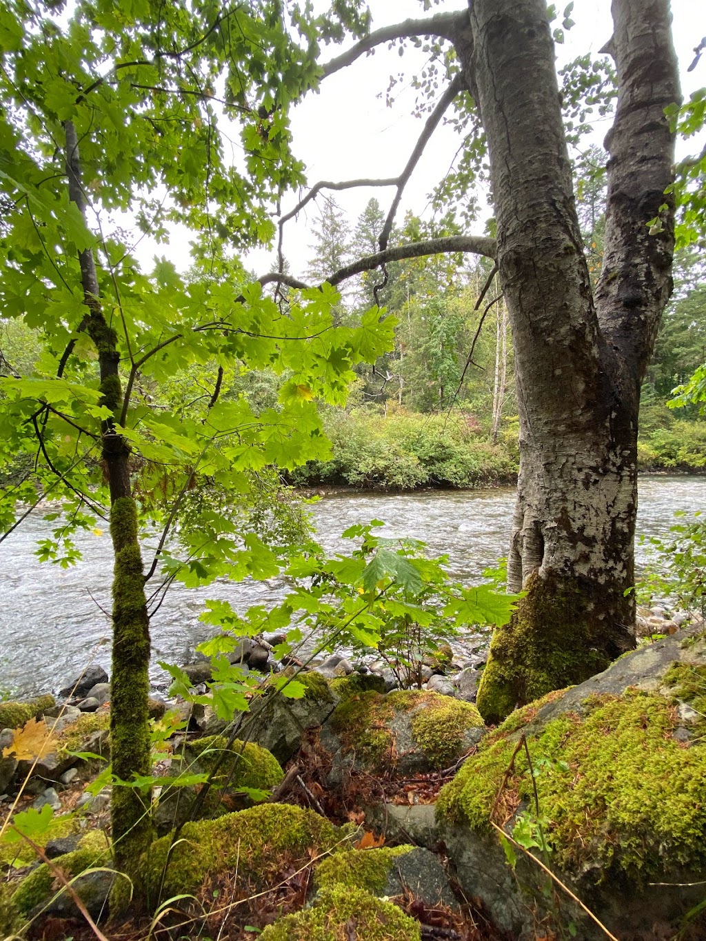 Puntledge Park | 401 Willemar Ave, Courtenay, BC V9N 3L3, Canada | Phone: (250) 334-4441