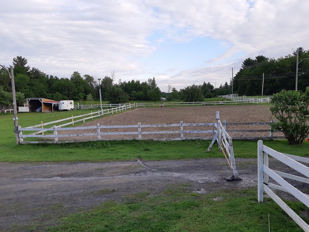 Animation Poney En Fête | #0, Saint-Jérôme, QC J5L 2K7, Canada | Phone: (450) 602-1283