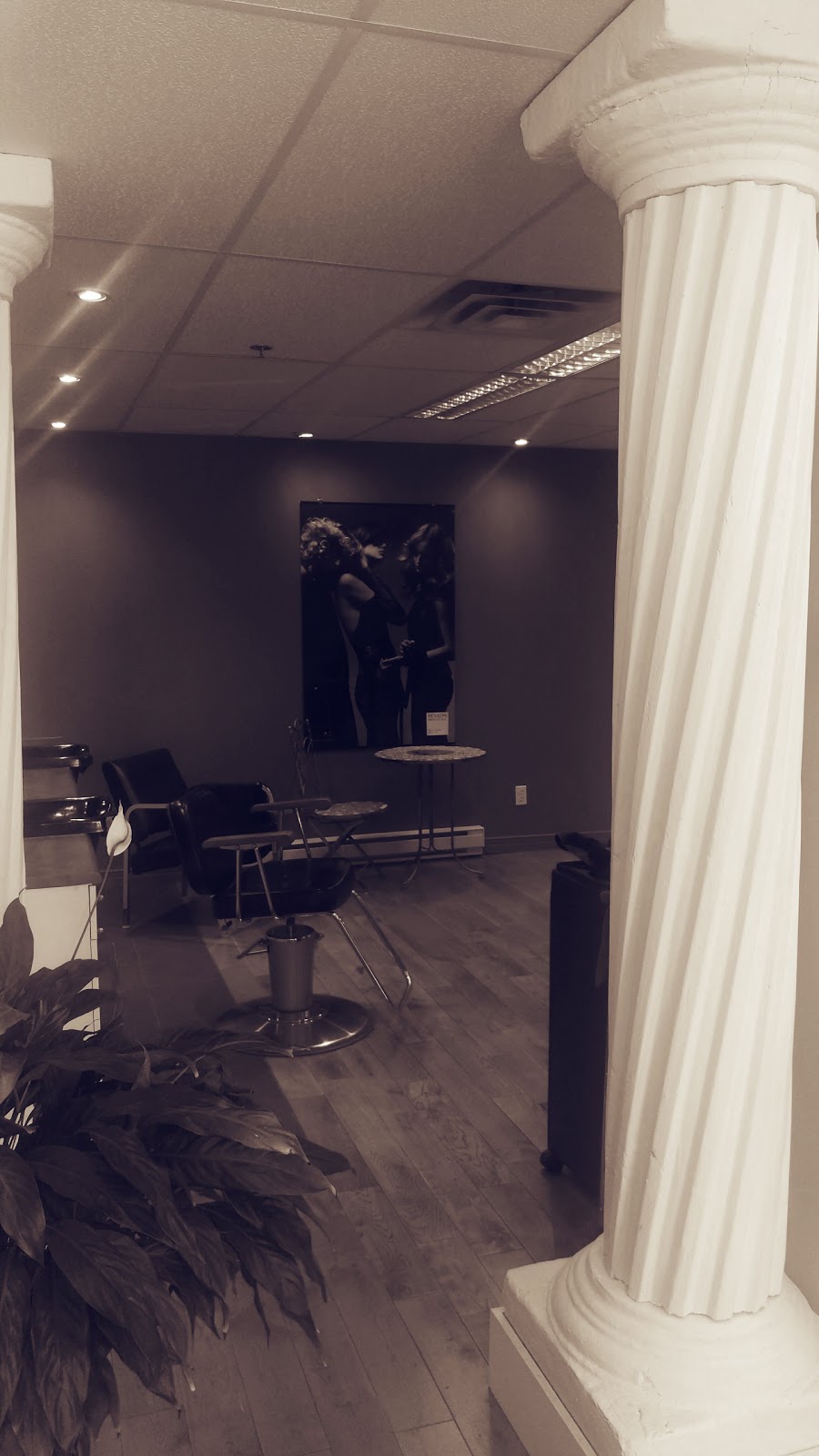 Coiffure Michel Alexandre | 911 Boulevard Roland-Therrien #113, Longueuil, QC J4J 4L3, Canada | Phone: (450) 679-8384