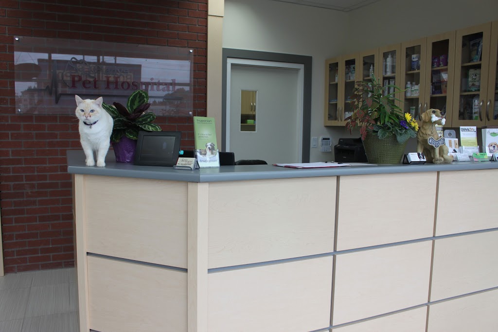 Gladys Pet Hospital | 2630 Gladys Ave, Abbotsford, BC V2S 3X7, Canada | Phone: (604) 850-2000