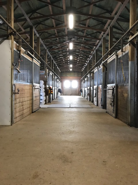 Mahogany Bay Stables | 1072 Concession 11 Townsend, Waterford, ON N0E 1Y0, Canada | Phone: (519) 410-1629