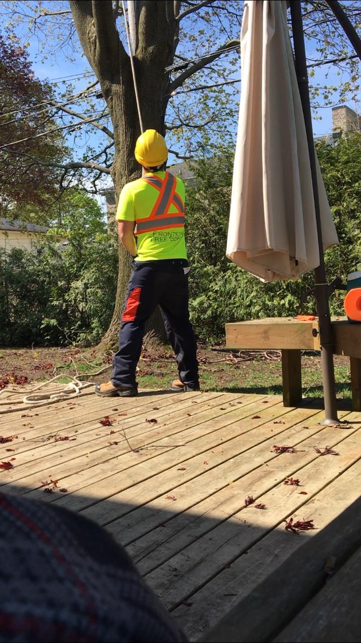 Frontenac Tree Service | 53 Huffman Rd, Yarker, ON K0K 3N0, Canada | Phone: (343) 884-6311