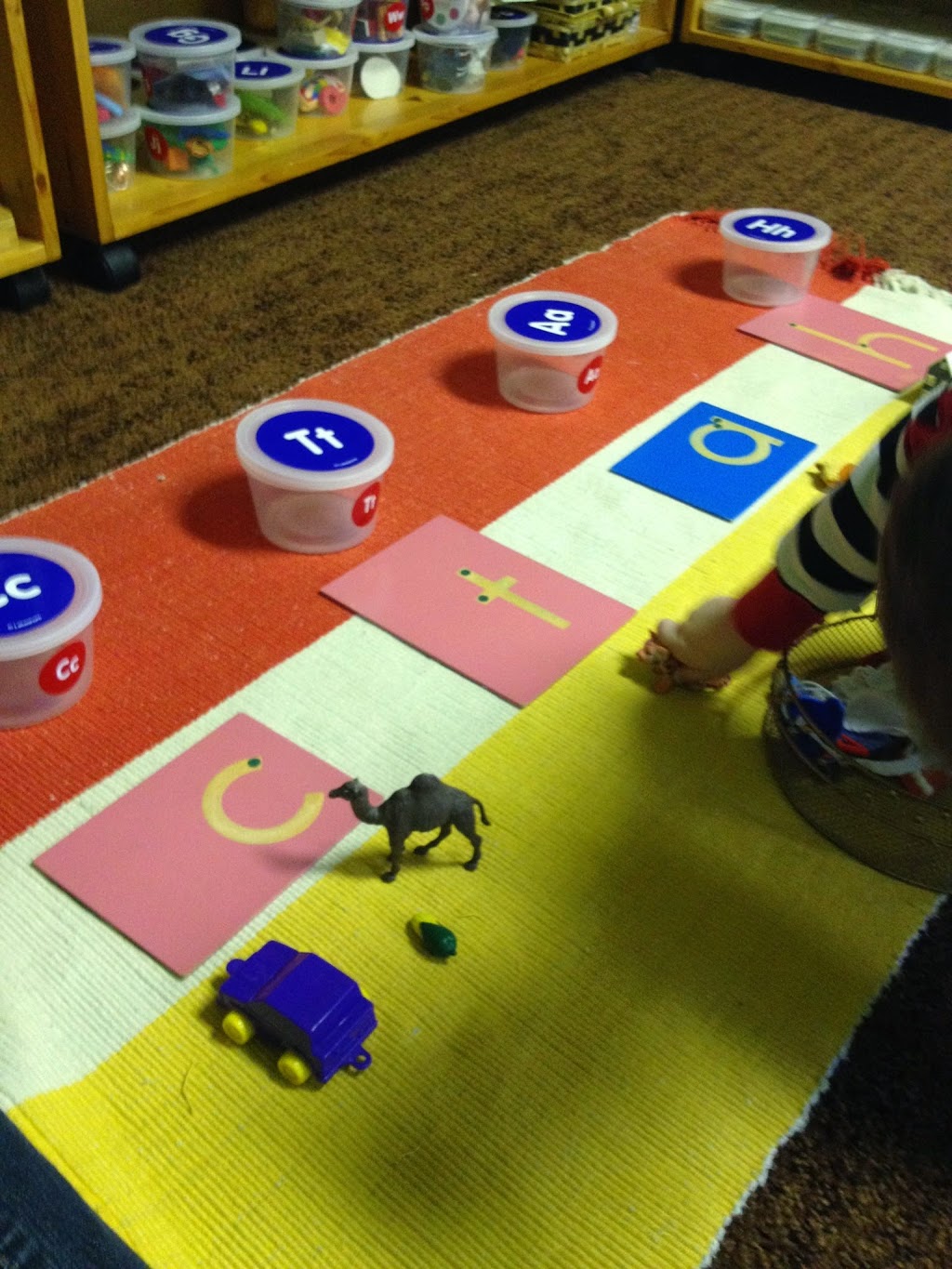 Seeds and Roots Montessori | 1630 Edinburgh Street, New Westminster, BC V3M 2W8, Canada | Phone: (604) 516-7777
