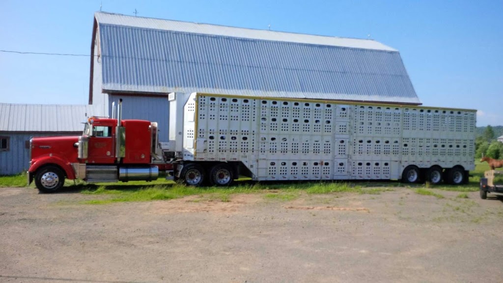 McConchie Trucking Ltd | 2087 Route 121, Norton, NB E5T 1E8, Canada | Phone: (506) 839-2626