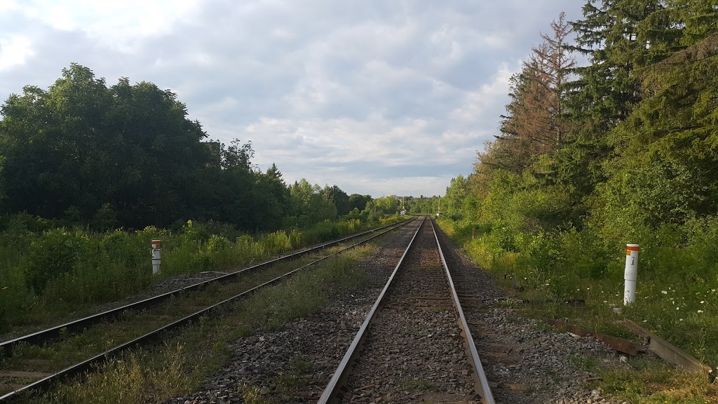 Hillsview Park | Church Street, Richmond Hill, ON L4C 8T6, Canada | Phone: (905) 771-8800