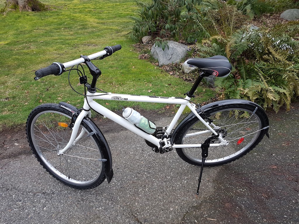 Beach Grove Bicycle Repair | 1723 57a St, Delta, BC V4L 1X9, Canada | Phone: (604) 812-8610