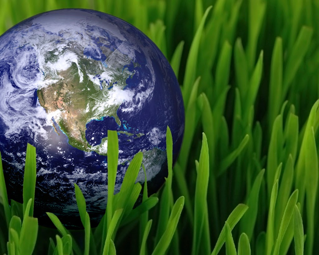 Stangls Enviro Lawn Care | 1379 President Ct, St. Catharines, ON L2R 6P9, Canada | Phone: (905) 641-8133