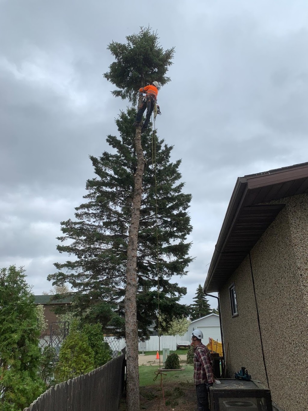 Sturgeon Valley Tree Service | 816 Grandin Dr, Morinville, AB T8R 1T9, Canada | Phone: (780) 939-3936