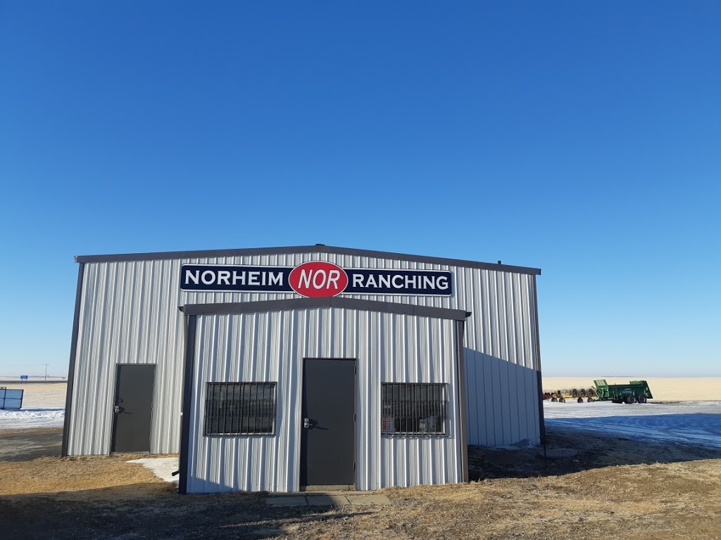 Norheim Ranching | Range Road 2270 and, SK-1, Moose Jaw, SK S6K 4P8, Canada | Phone: (306) 690-3424