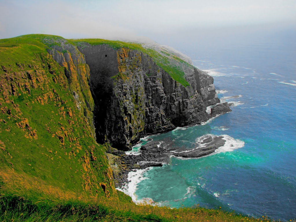 Seacliff House productions | 491 Water St, Bay Roberts, NL A0A 1G0, Canada | Phone: (709) 786-6714