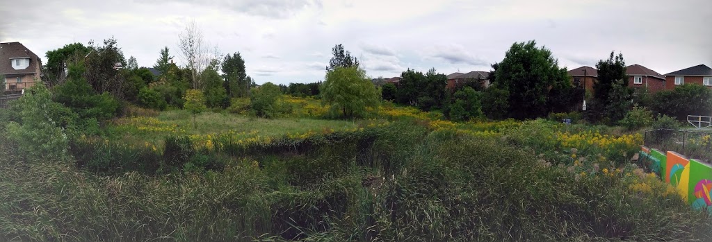 Lisgar Fields | 3805 Doug Leavens Blvd, Mississauga, ON L5N 6N8, Canada | Phone: (905) 615-4100