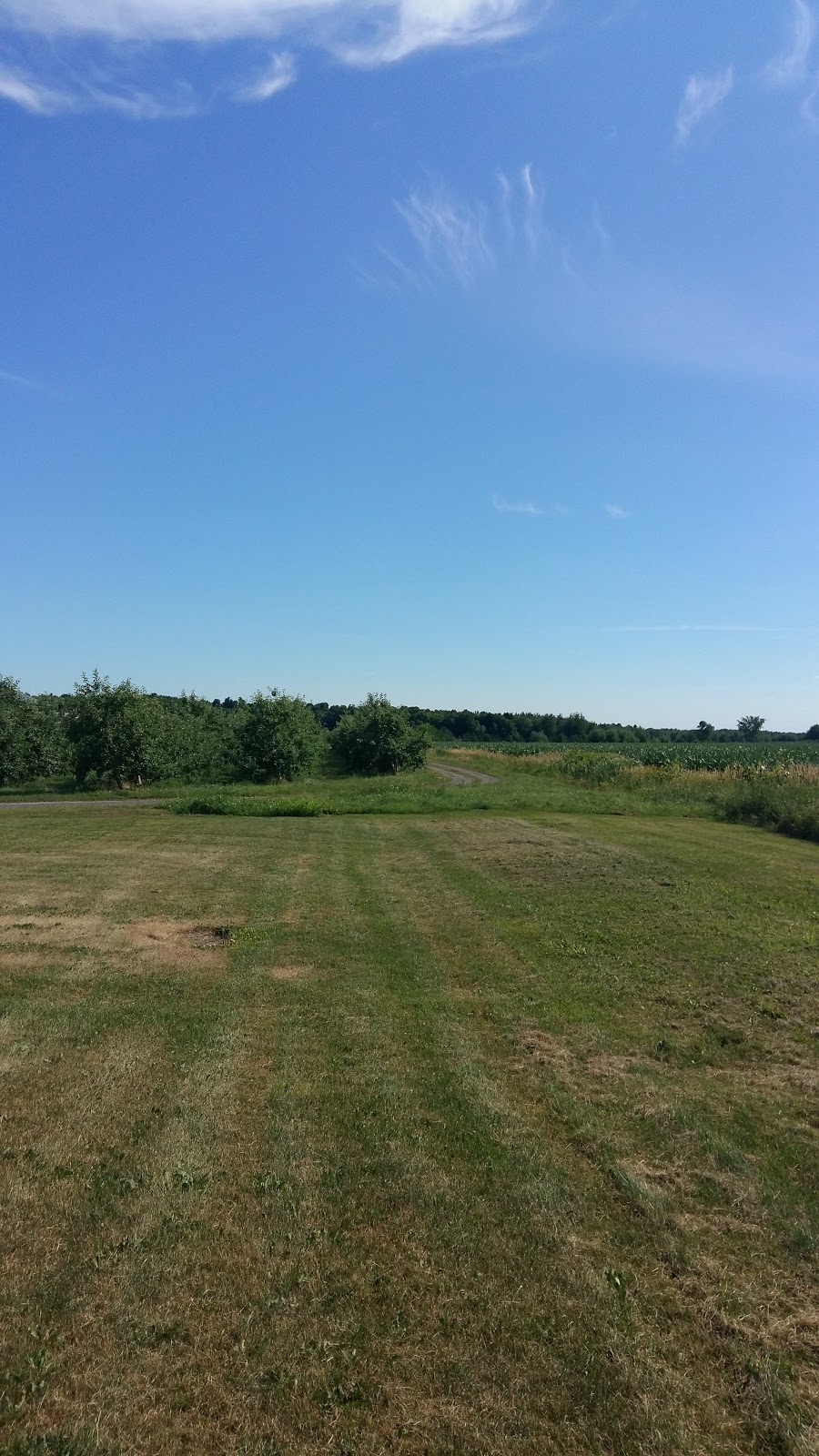 Ferme A & G Inc | 642 Rang Séraphine, Ange-Gardien, QC J0E 1E0, Canada | Phone: (450) 293-6312