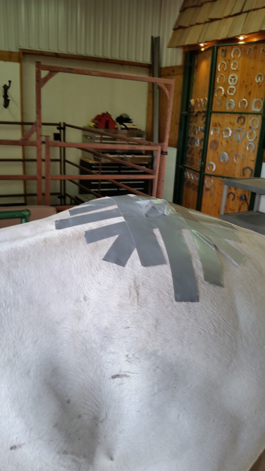 Canadian Forge & Farrier Supply | 51424 AB-60, Spruce Grove, AB T7Y 1C8, Canada | Phone: (888) 470-0010