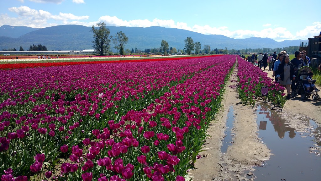 Petro-Pass Truck Stop | 41420 Yale W, Chilliwack, BC V2R 4J3, Canada | Phone: (604) 823-6411