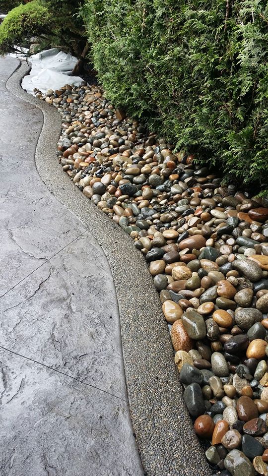 Turfcity Lawn Pros + | 693 Fairview St, Coquitlam, BC V3J 4B3, Canada | Phone: (604) 780-5304