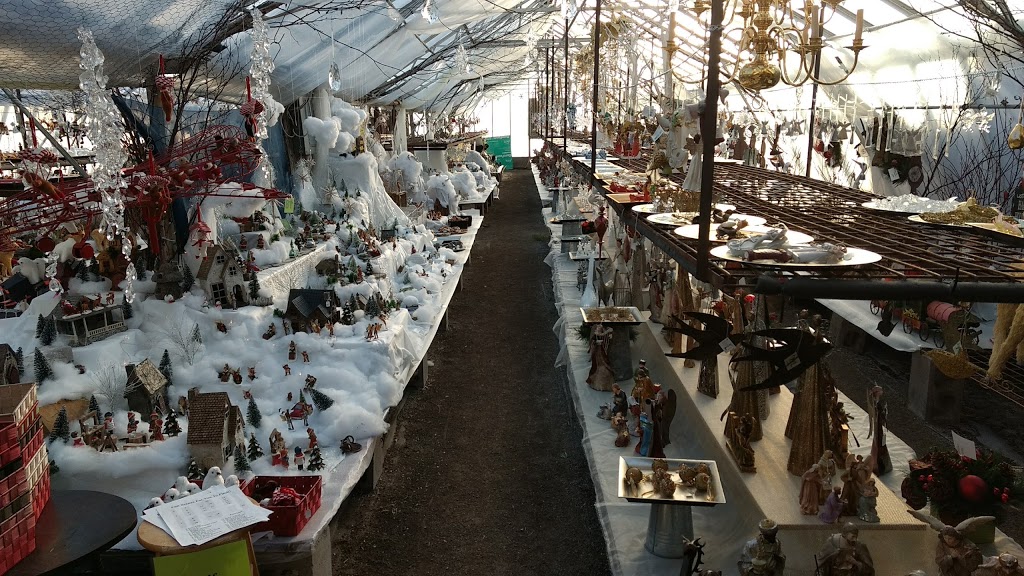 Rileys Garden Center | 2141 Bath Rd, Kingston, ON K7M 4Y3, Canada | Phone: (613) 389-0630