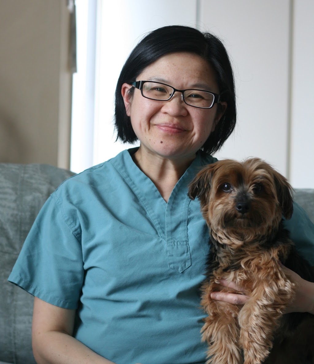 Pet Hospital on Main | 102 Main St N, Uxbridge, ON L9P 1C7, Canada | Phone: (905) 862-0862