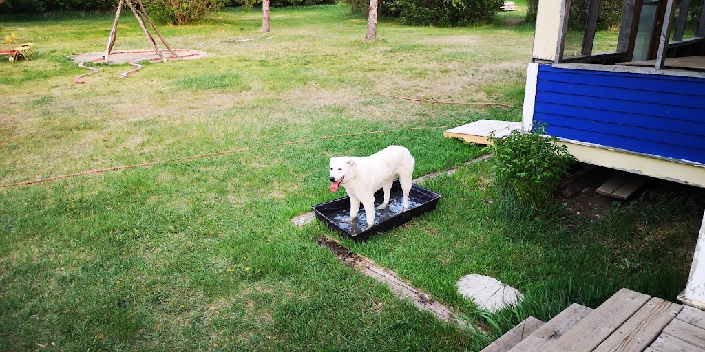 Prince Albert SPCA Animal Care Centre | 1125 N Industrial Dr, Prince Albert, SK S6V 5T1, Canada | Phone: (306) 763-6110