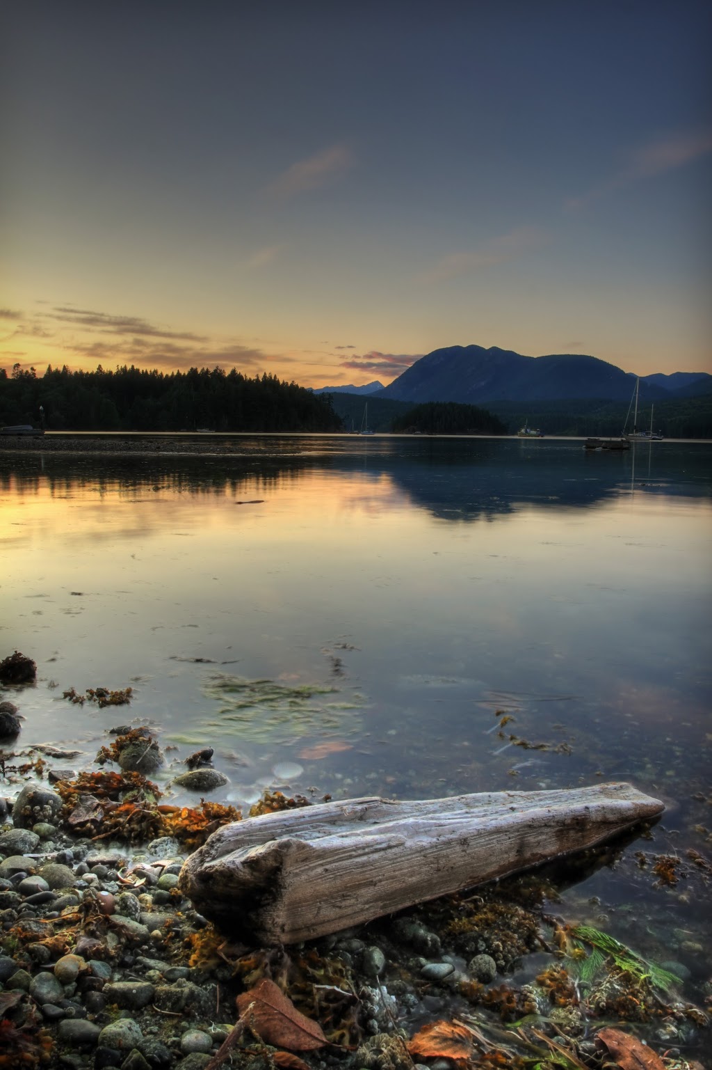 Takahashi Gardens Waterfront Retreat | 5794 Marine Way, Sechelt, BC V0N 3A6, Canada | Phone: (877) 885-9963