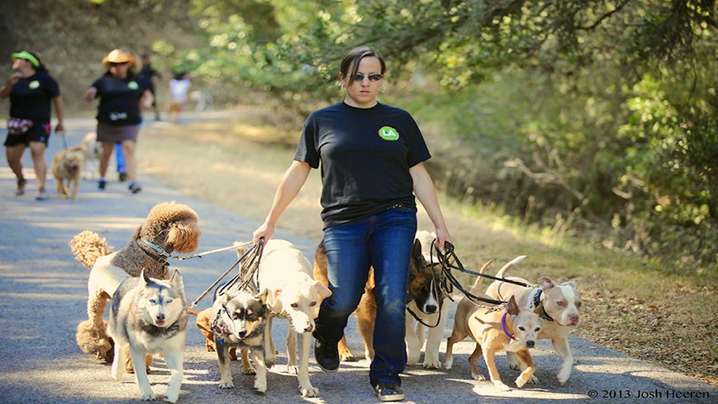 The Pack Way - Dog Training Guelph, Ontario | 65 Dawson Rd, Guelph, ON N1H 1B1, Canada | Phone: (226) 751-3647