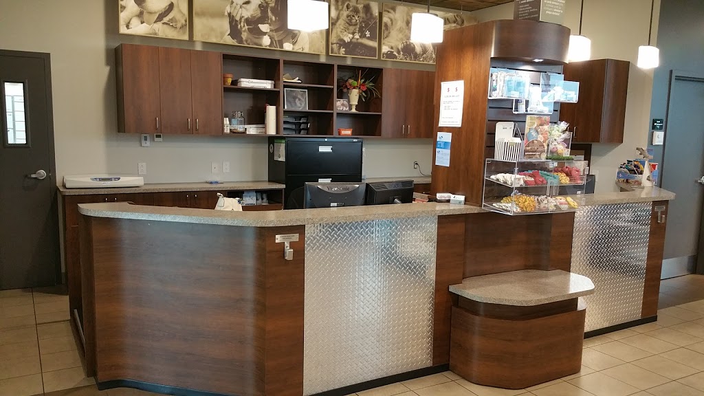 Hôpital Vétérinaire Coeur de Lotbinière (Vetcom) | 140 Rue Olivier, Laurier-Station, QC G0S 1N0, Canada | Phone: (418) 728-5121