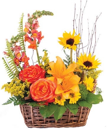 Raw Flowers | 43 Lorilee Crescent, Kitchener, ON N2N 2J2, Canada | Phone: (250) 214-4778