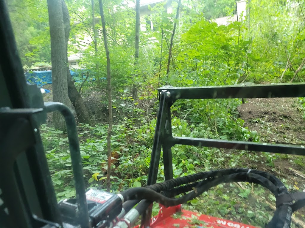 Rykon Forestry Mulching | 245 Brock Concession Rd 2, Sunderland, ON L0C 1H0, Canada | Phone: (289) 383-5789