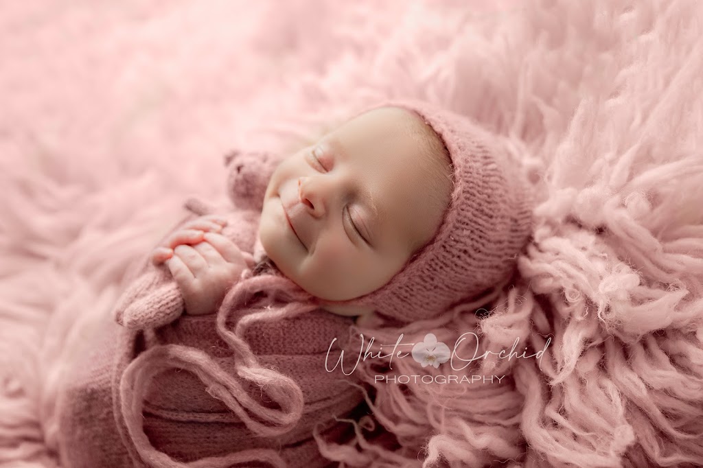 White Orchid Photography | 21 Tanglewood Dr, Binbrook, ON L0R 1C0, Canada | Phone: (905) 512-4760