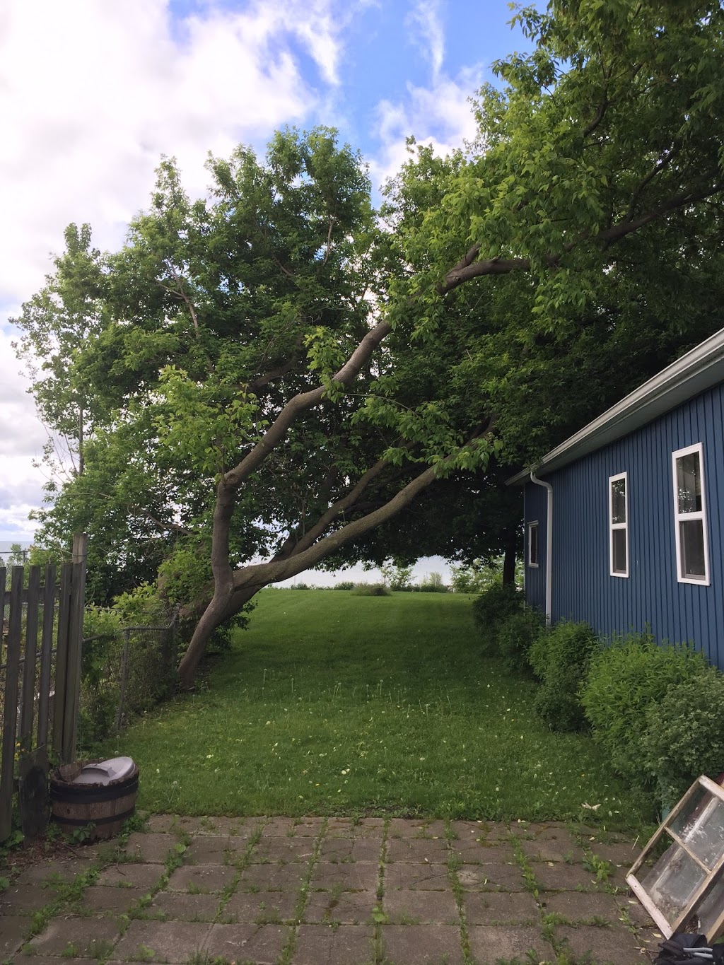 Beauregard Tree Service | 55 River Rd, Brantford, ON N3T 5L6, Canada | Phone: (519) 756-3489