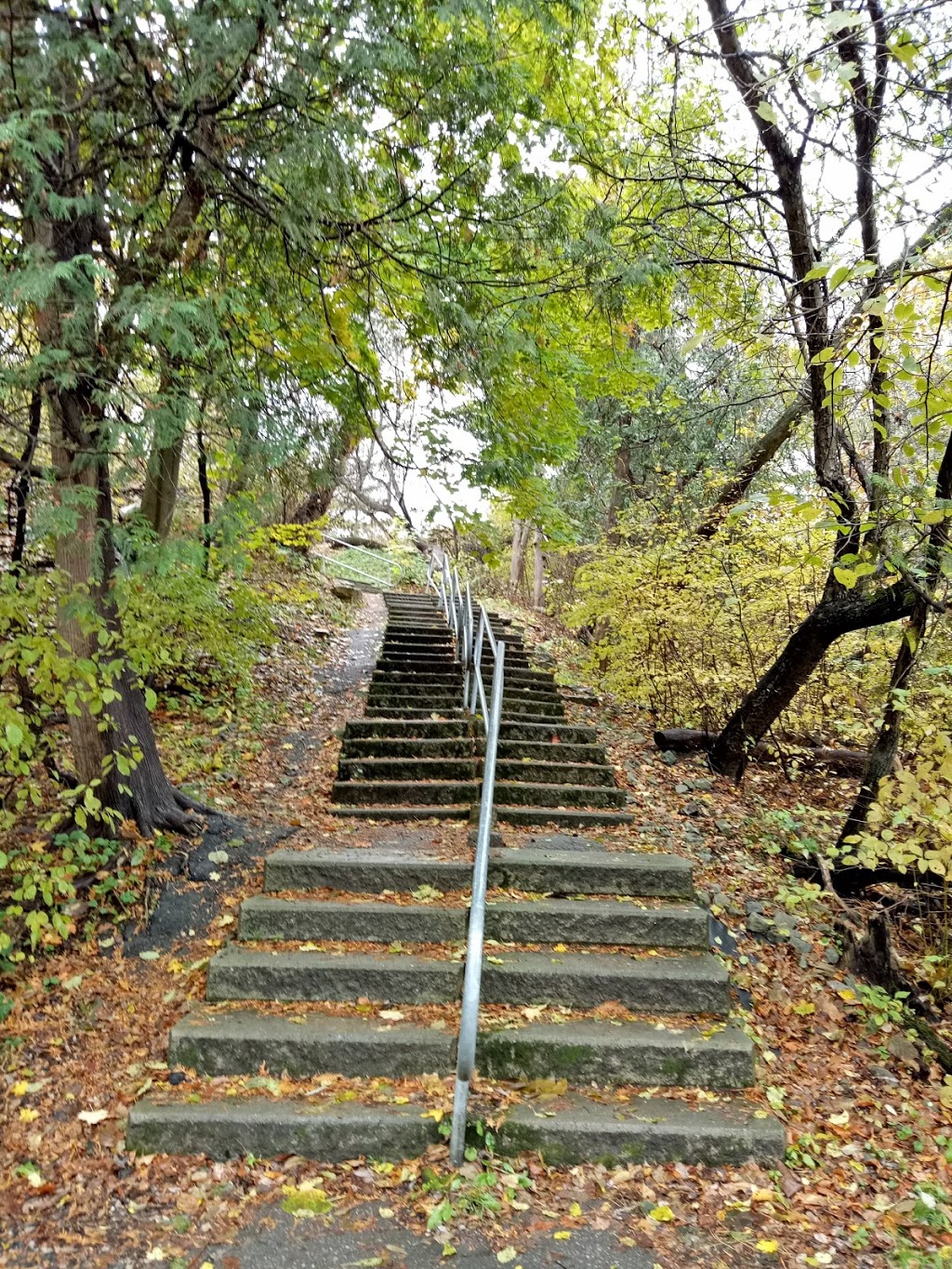 Pomona Mills Park | 244 Henderson Ave, Markham, ON L3T, Canada