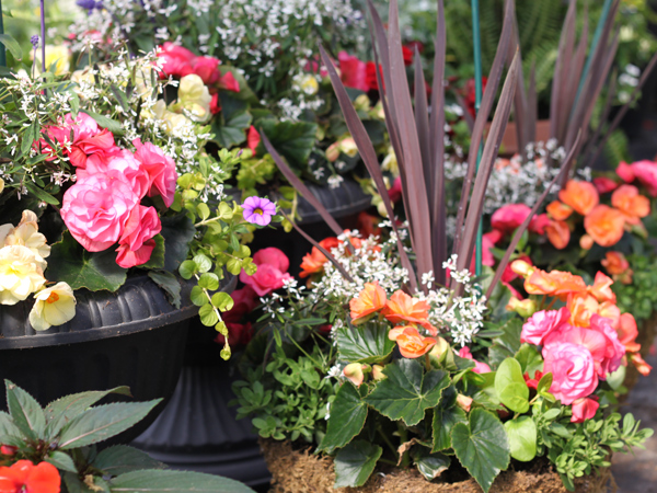 Brantim Country Garden Centre | 3994 Hamilton Side Rd, Almonte, ON K0A 1A0, Canada | Phone: (613) 256-4940